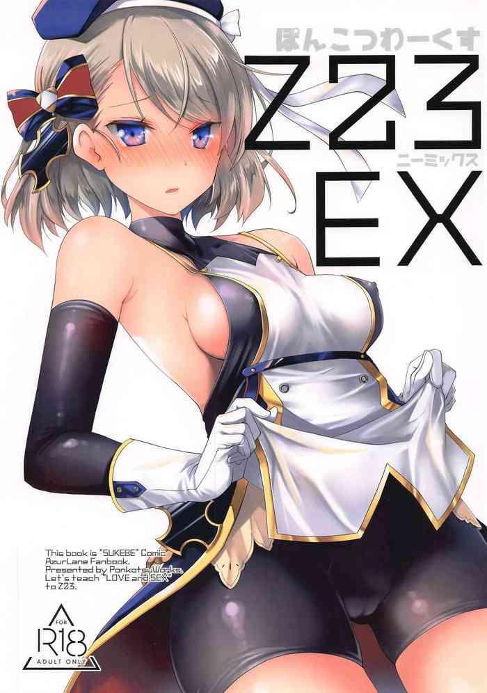 z23ex cover