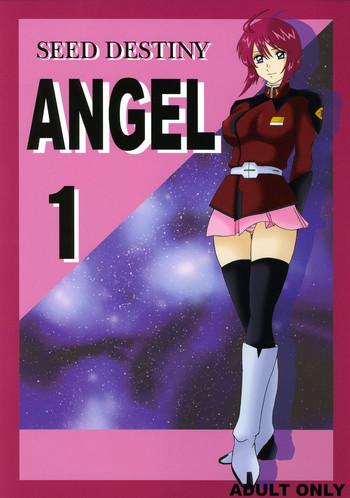seed destiny angel 1 cover