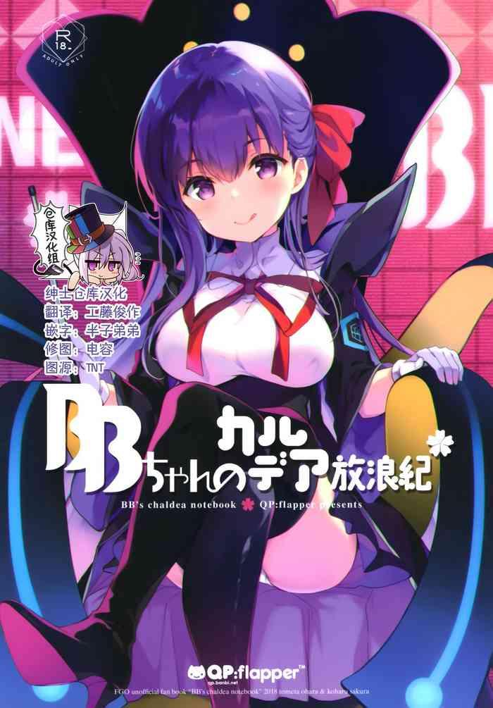 bb chan no chaldea hourouki cover