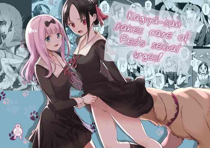 silver dog kaguya san ni pas no seishori wo tetsudatte itadakimashita kaguya sama wa kokurasetai kaguya san takes care of pes s sexual urges english team rabu2 cover