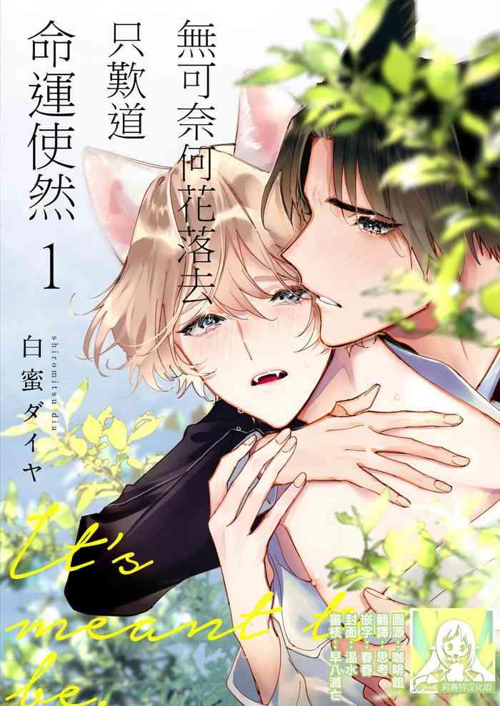 dou shiyou mo nai hodo ni unmei 1 5 cover