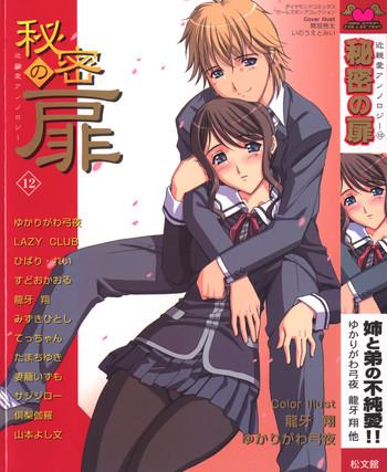 himitsu no tobira vol 12 cover