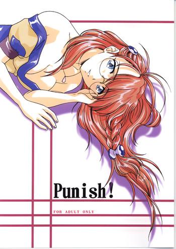 punish cover