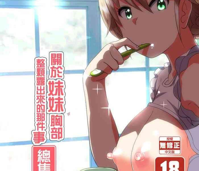 imouto no oppai ga marudashi datta hanashi soushuuhen 1 1 cover