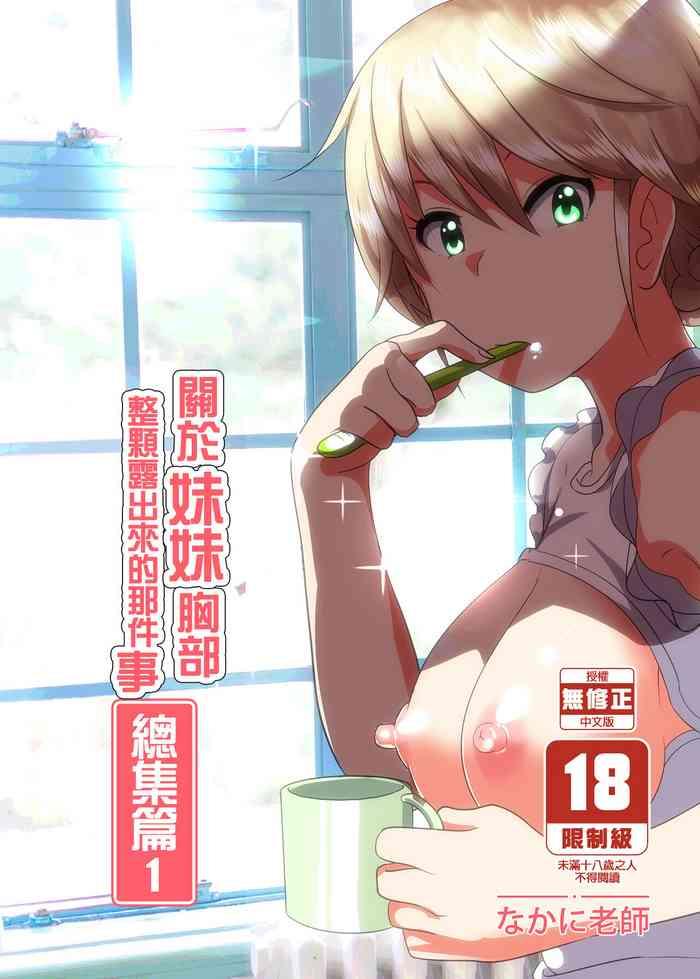 imouto no oppai ga marudashi datta hanashi soushuuhen 1 1 cover